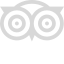 TripAdvisor Icon
